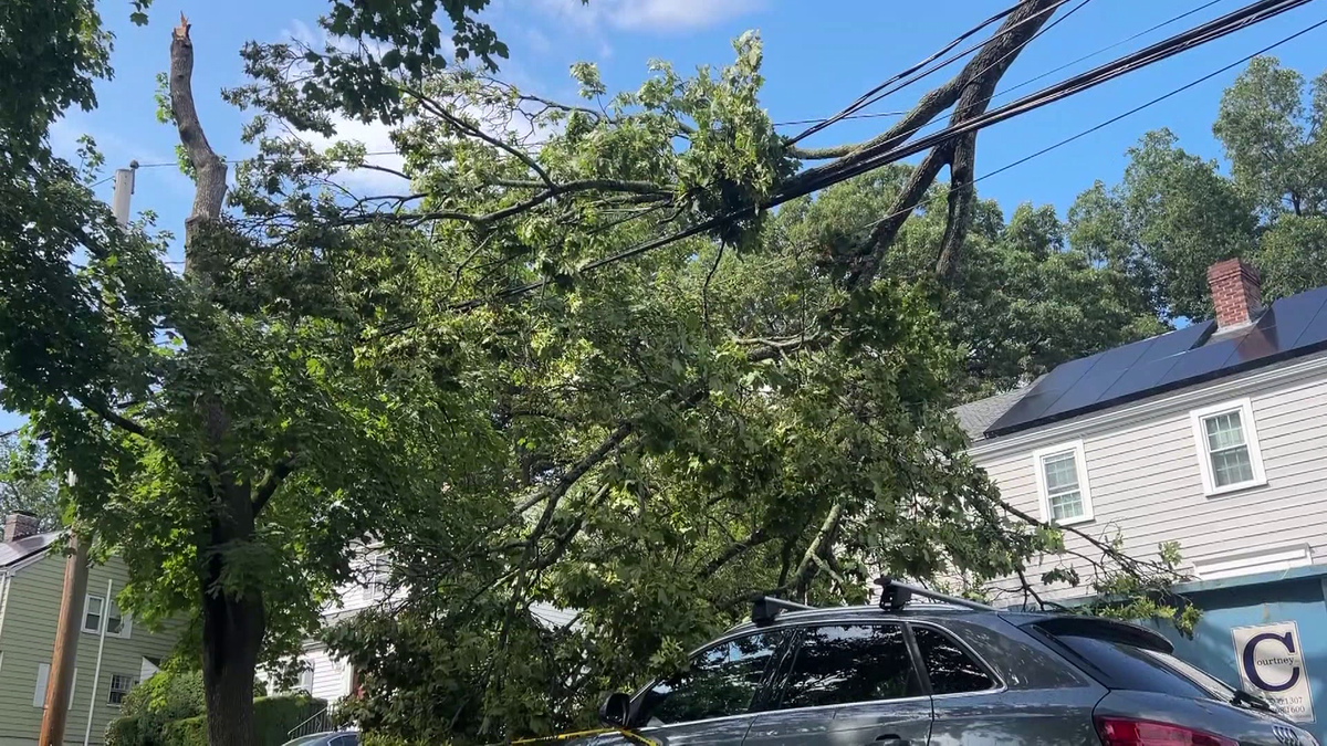 Powerful Thunderstorms Cause Significant Damage In Eastern Massachusetts