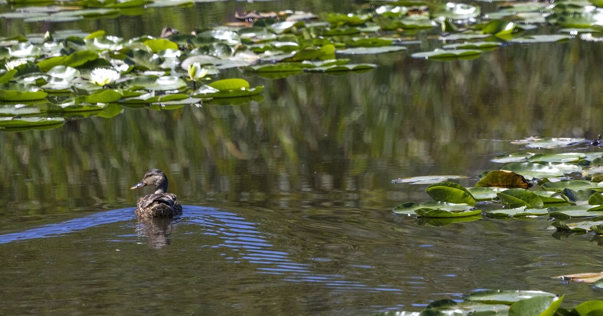 Seattle's Fall Season Begins With A Significant Weather System