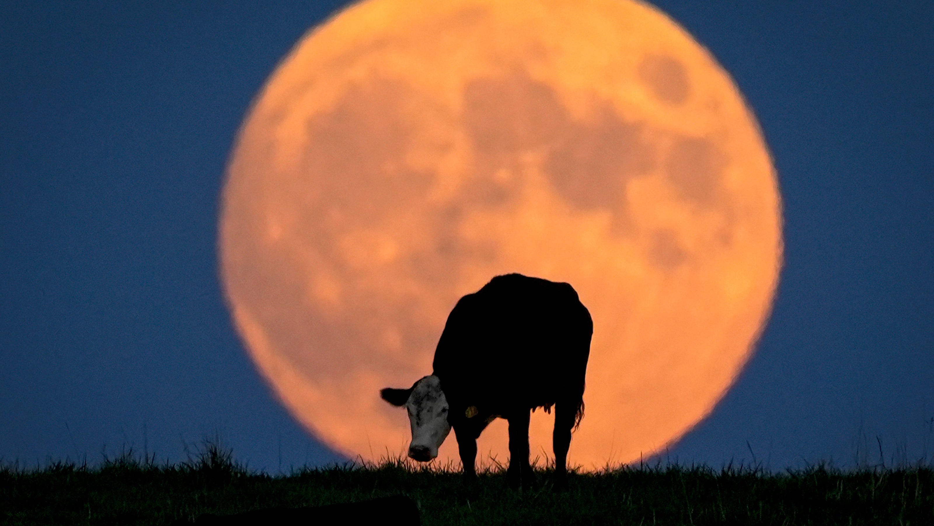 September Full Moon: Your Guide To The 2024 Corn Moon September Full Moon: Your Guide To The 2024 Corn Moon