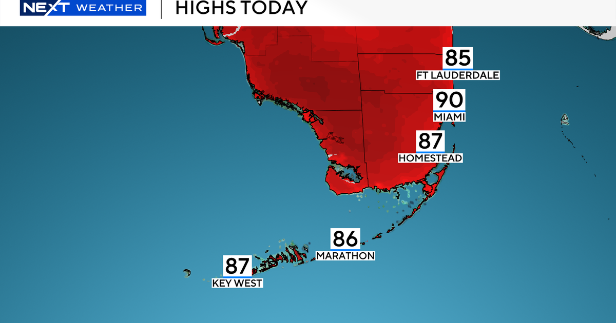 South Florida Forecast: Afternoon Storms, Mild Temperatures