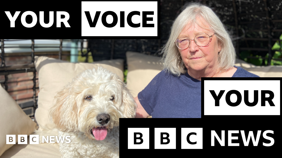 The Cost Of Pet Care: A Growing Number Of Pets Are Being Put Down Due To Unaffordable Veterinary Bills The Cost Of Pet Care: A Growing Number Of Pets Are Being Put Down Due To Unaffordable Veterinary Bills