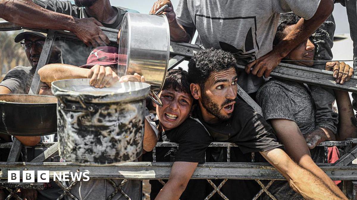 The Crushing Reality: Gaza Freelance Journalists And The Struggle For Food The Crushing Reality: Gaza Freelance Journalists And The Struggle For Food