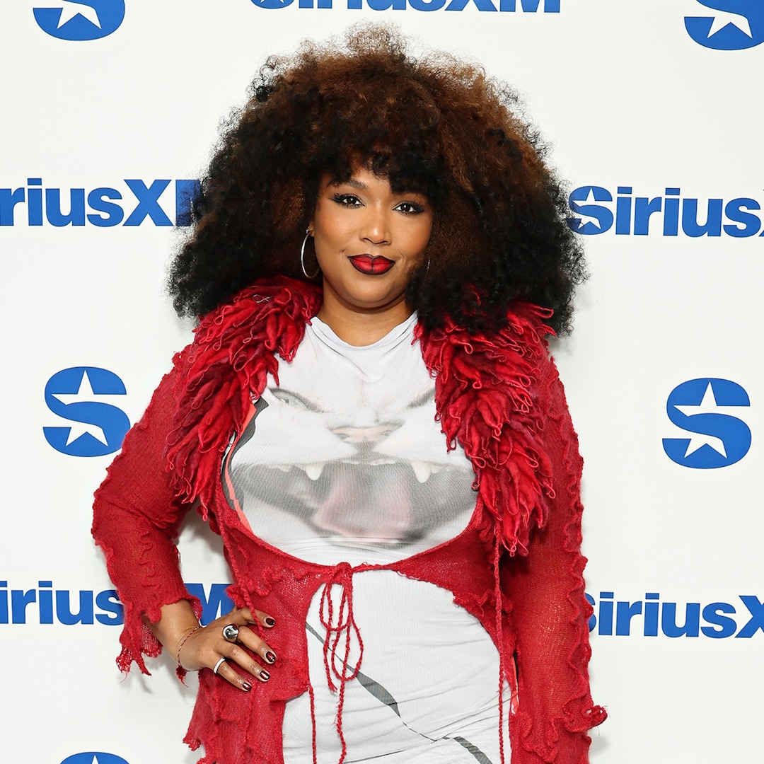 The Lizzo Effect: Navigating Criticism And Public Perception The Lizzo Effect: Navigating Criticism And Public Perception