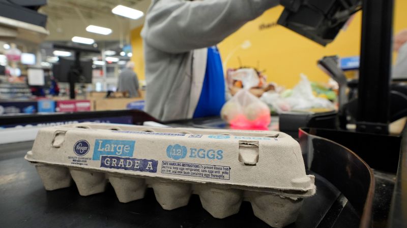 The Reality Of Rising Egg Costs: A Look At Trump's Past Comments The Reality Of Rising Egg Costs: A Look At Trump's Past Comments