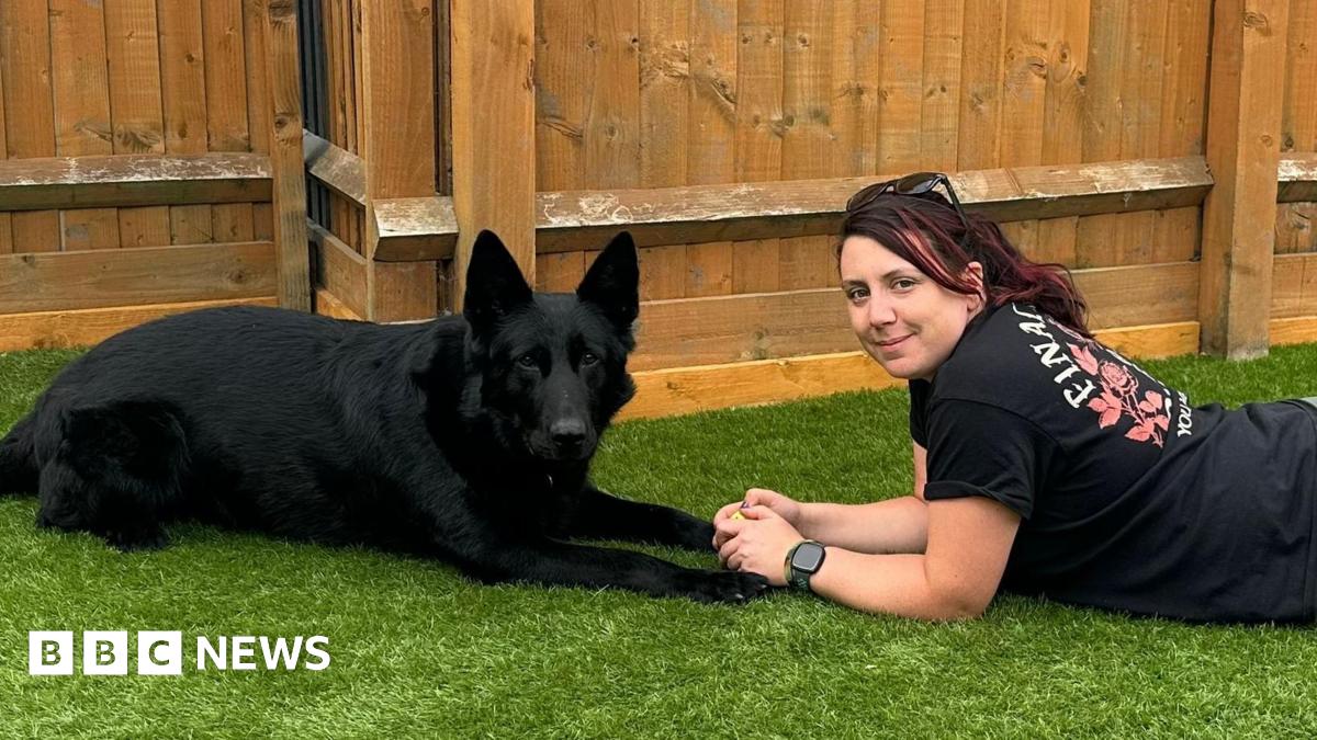The Unseen Cost Of Police Work: Why Our Retired K9 Officers Need Pensions The Unseen Cost Of Police Work: Why Our Retired K9 Officers Need Pensions