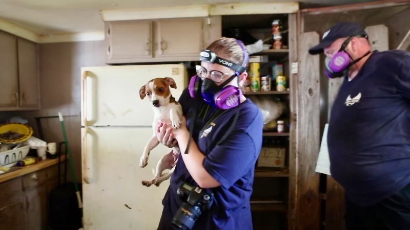 Thousands Saved: The Challenges And Triumphs Of A Major Animal Rescue Group Thousands Saved: The Challenges And Triumphs Of A Major Animal Rescue Group
