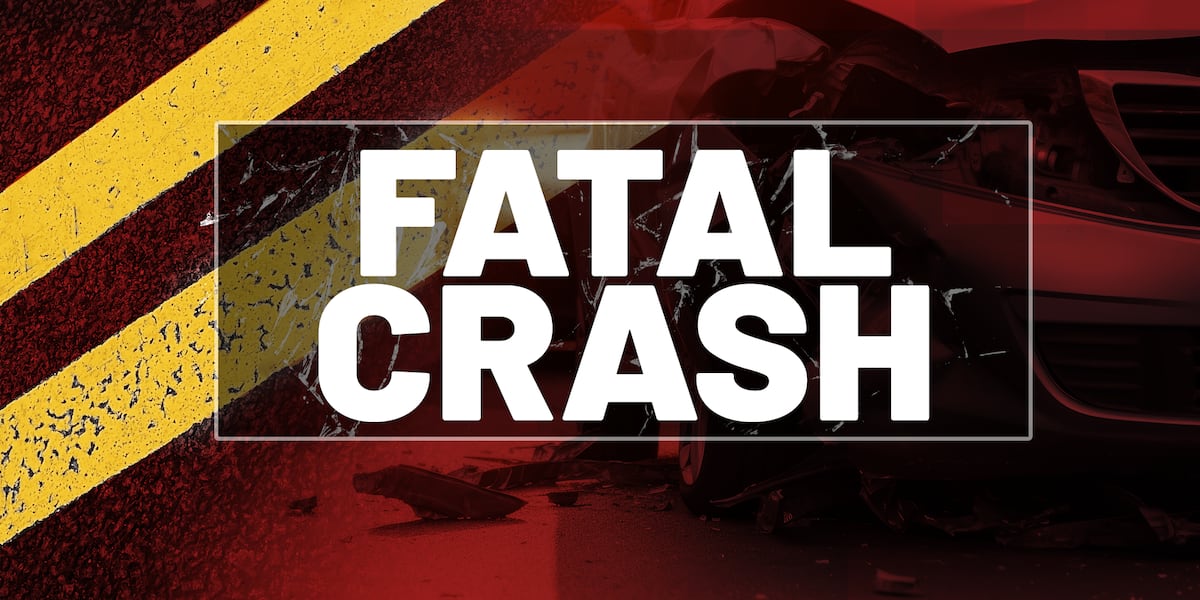 Tragedy Strikes Grimes County: 18-Year-Old Perishes In Single-Vehicle Accident Tragedy Strikes Grimes County: 18-Year-Old Perishes In Single-Vehicle Accident