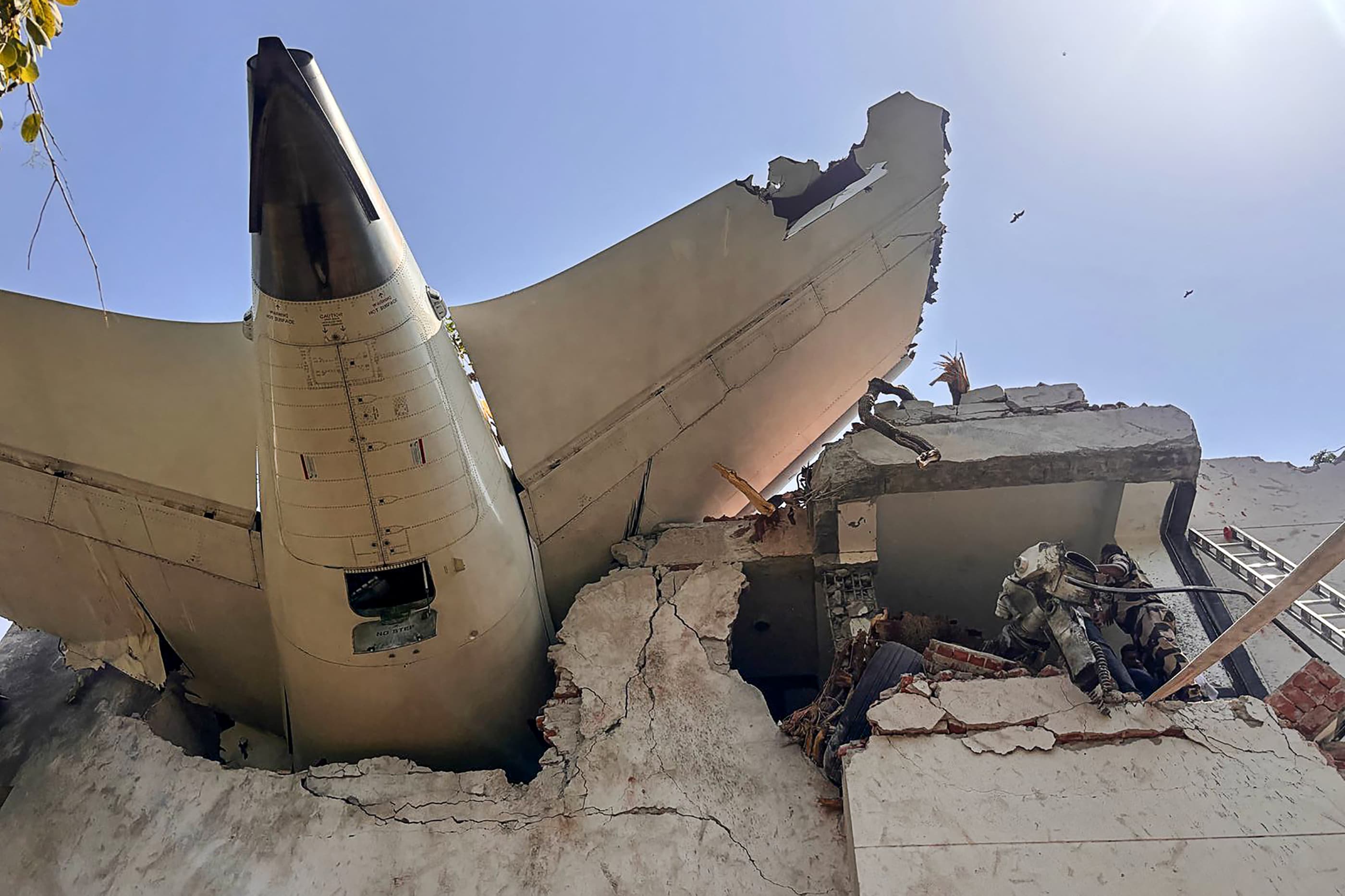 Viral Photo Explained: Separating Fact From Fiction In Dreamliner Pilot Incident Viral Photo Explained: Separating Fact From Fiction In Dreamliner Pilot Incident