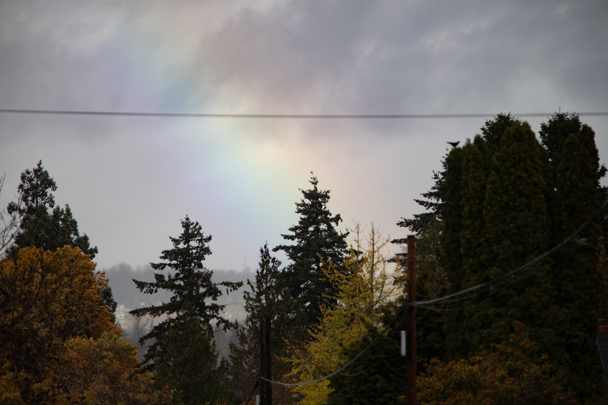Weekend Weather Alert: Expect Up To 1.5 Inches Of Rain Friday And Saturday