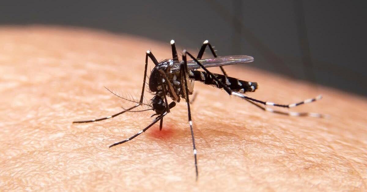 West Nile Virus Case Confirmed: Kennewick Health Officials Issue Warning West Nile Virus Case Confirmed: Kennewick Health Officials Issue Warning
