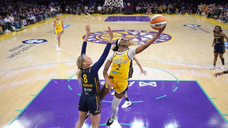 WNBA Sex Toy Tosses: A Glimpse Into Online Culture And Lingering Gender Issues WNBA Sex Toy Tosses: A Glimpse Into Online Culture And Lingering Gender Issues
