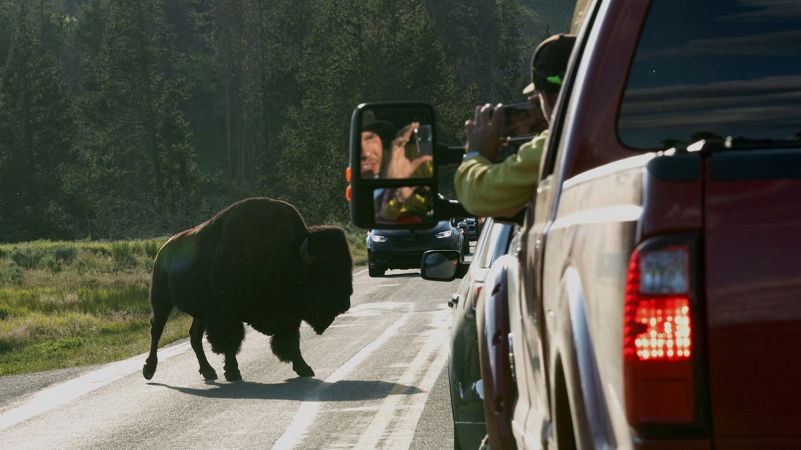 Yellowstone National Park: Dispelling Social Media Rumors Of Animal Migration Yellowstone National Park: Dispelling Social Media Rumors Of Animal Migration